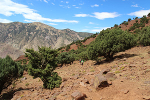 toubkal_1.jpg